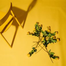Gelbe Hochzeitsblumen – Zanadu ist die Hochzeitsband und Coverband München